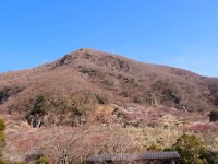 幕山公園＆湯河原梅林