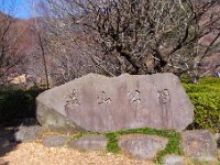 幕山公園