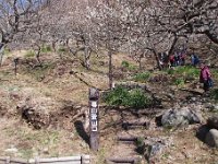幕山登山口