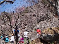 ロッククライミング所