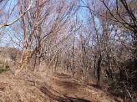登山道