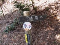 標識