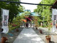 多摩川浅間神社
