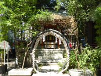 P1000405-20180714-512  津島神社