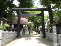 P1000422-20180714-512  氷川神社