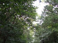 参道