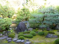 東庭