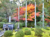 紅葉