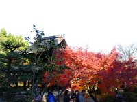 紅葉と開山堂