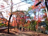 紅葉 琴坂横の公園