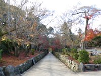 琴坂