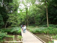 東高根森林公園