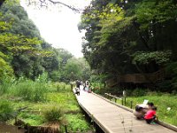 東高根森林公園