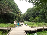 東高根森林公園