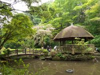 東高根森林公園