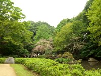 東高根森林公園