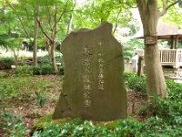 東高根森林公園