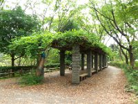 東高根森林公園 ハーゴラ広場