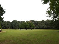 東高根森林公園 古代芝生広場