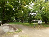 東高根森林公園