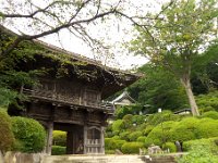 等覚院 仁王門とつつじ