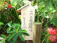 妙楽寺 妙な音がする賽銭箱、無くなっていました