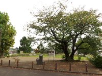 長尾台遺跡（ふじやま遺跡公園）