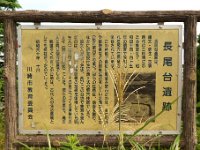 長尾台遺跡