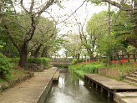 川崎市緑化センター