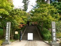円覚寺 まだ紅葉には早いです