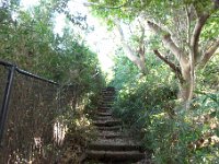 ハインキング路
