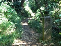ハインキング路