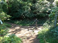 分岐