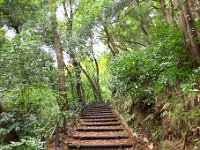 ハイキング路