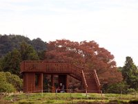 展望台