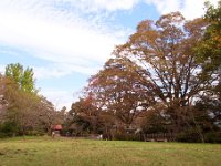 公園内