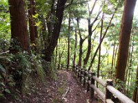 ハイキング路