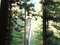 洒水の滝 展望台から
