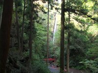 洒水の滝 展望台から