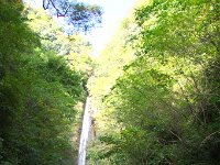 洒水の滝