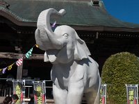 吉ゾウくん