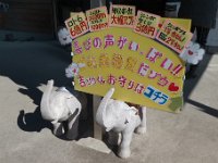 子象くん