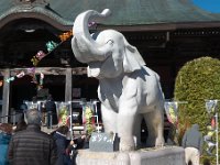 吉ゾウくん