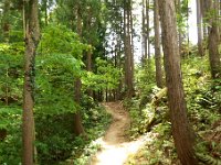 ハイキング道