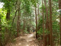 ハイキング道