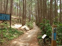 ハイキング道