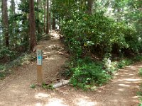 分岐 左が物見山へ