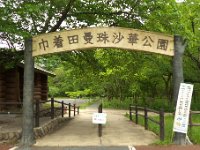 巾着田