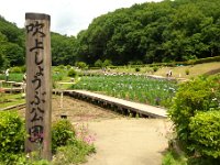 吹上しょうぶ公園