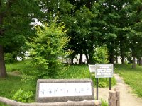 青梅森町の大井戸